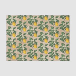 Papel De Seda Vintage Botânica Lemon Fruta Flor Beige Kraft