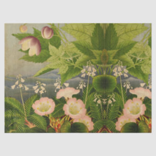 Papel De Seda Vintage Botanical Flower Book Ilustração Duplicada
