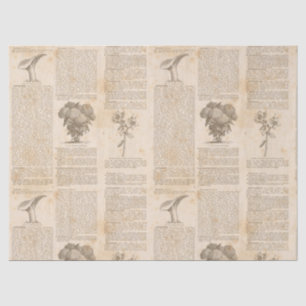 Papel De Seda Vintage Botanical Newsprint Decoupage