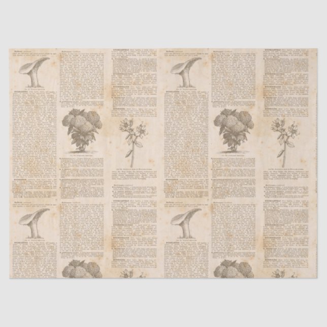 Papel De Seda Vintage Botanical Newsprint Decoupage (Frente )
