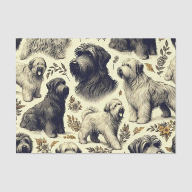 Papel De Seda Vintage Briard Dog Seamless (Frente )
