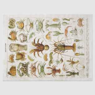 Papel De Seda Vintage Crustaceans Marine Life Decoupage