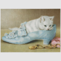 Vintage cute white kitten in a blue satin shoe