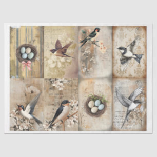 Papel De Seda Vintage Engallow e nest com ovos florais