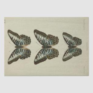 Papel De Seda Vintage Ephemera Script Blue Butterfly Decoupage