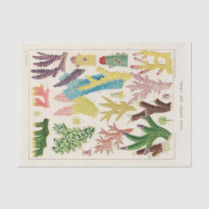 Papel De Seda Vintage Excelente Barrier Reef of Australia Corals