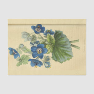 Papel De Seda Vintage Floral Blue Flowers Ephemera Decoupage Ti