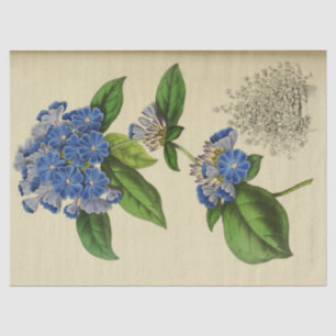 Papel De Seda Vintage Floral Blue Flowers Ephemera Decoupage Tis