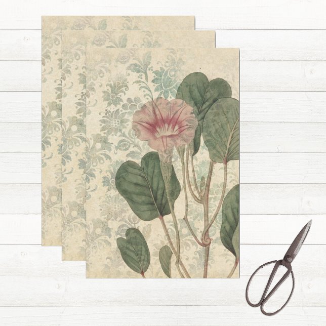 Papel De Seda Vintage Floral Botânica (Floral tissue paper for decoupage or gift wrapping)
