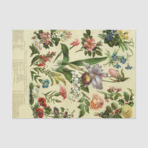 Vintage Floral Botânico