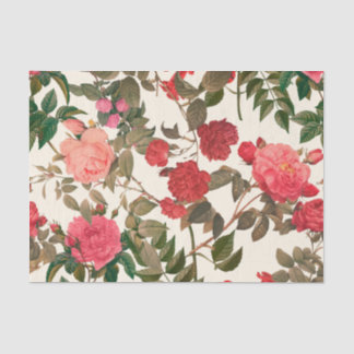 Papel De Seda Vintage Floral Cream Rosa Rosa Jardim