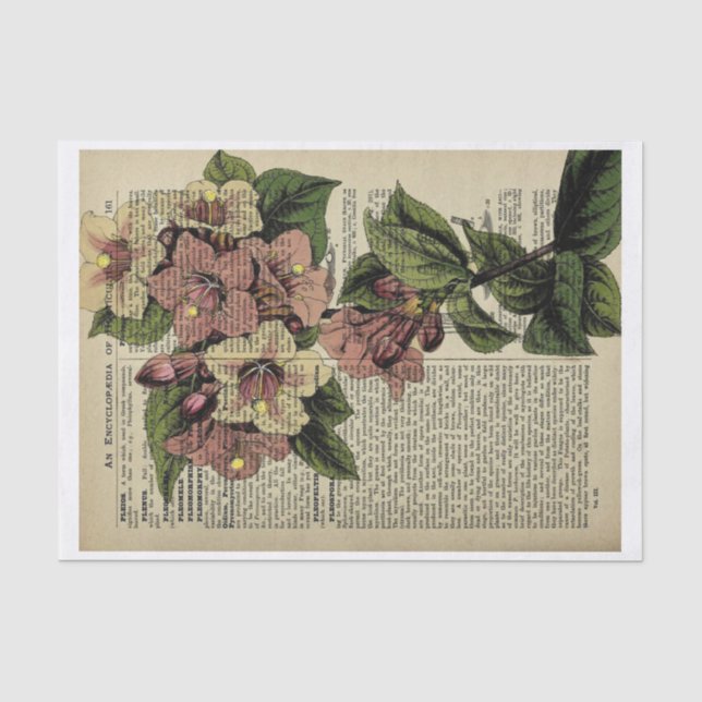 Papel De Seda Vintage Floral Decoupage Paper (Frente )