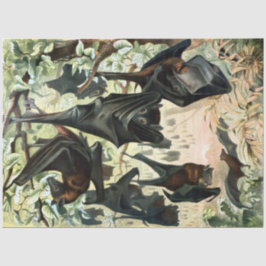 Papel De Seda Vintage flying fox bat acadamia illustration 