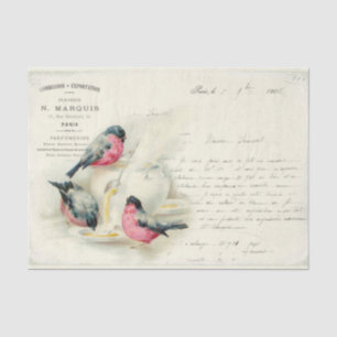 Papel De Seda Vintage French Birds and Love Letters