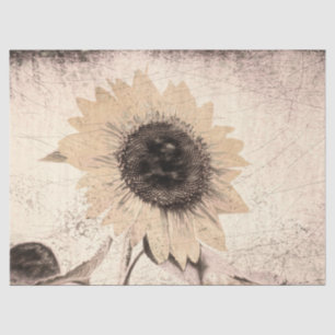 Papel De Seda Vintage Giant Sunflower Sepia Brown Yellow Texture