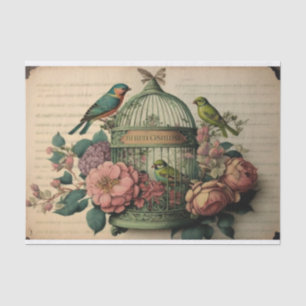 Papel De Seda Vintage Green Birdcage bird ássaros verdes e disso