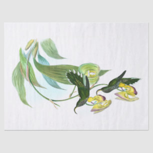 Papel De Seda Vintage Green Sickle Hummingbird Decoupage