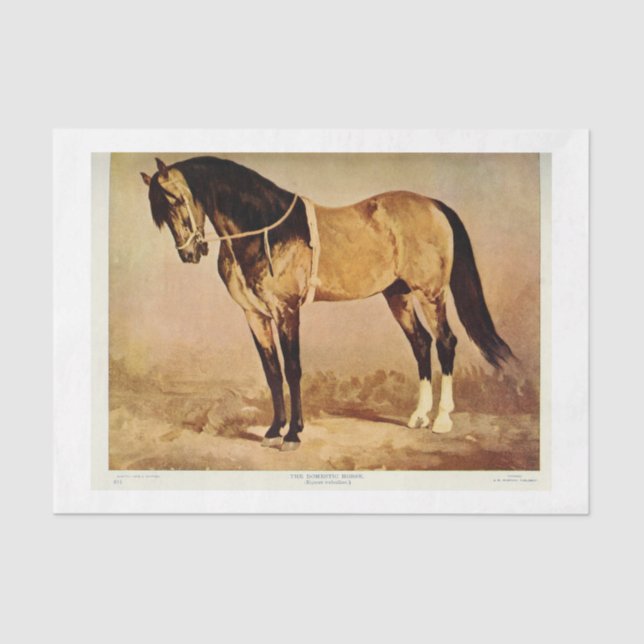 Papel De Seda Vintage Horse Ephemera (Frente )