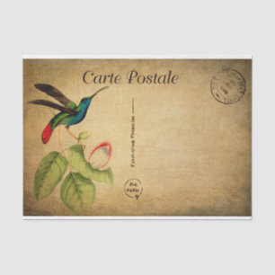 Papel De Seda Vintage Humming Bird Floral Flowers Francês