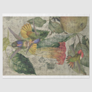 Papel De Seda Vintage Hummingbird Collage-Tissue Paper