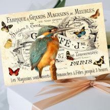Vintage Kingfisher Butterflies Francês Ad Decoupag