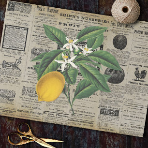 Papel De Seda Vintage Lemon Fruta Horticulture Ads Ephemera