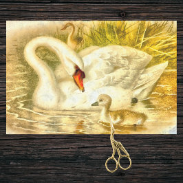 Papel De Seda Vintage Mãe Swan Baby Cygnet