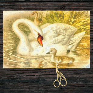 Papel De Seda Vintage Mãe Swan Baby Cygnet
