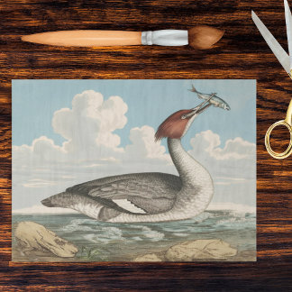 Papel De Seda Vintage Merganser Duck Goosander Fauna Plate