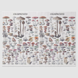Papel De Seda Vintage Mushroom Collage Decoupage
