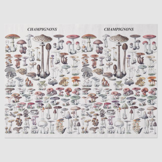 Papel De Seda Vintage Mushroom Collage Decoupage (Frente )