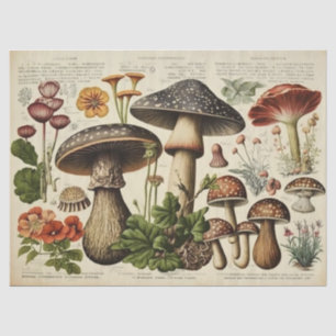 Papel De Seda Vintage Mushroom Cottagecore Decoupage