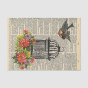 Papel De Seda Vintage Newpaper com Decoupage de aves de gaiola