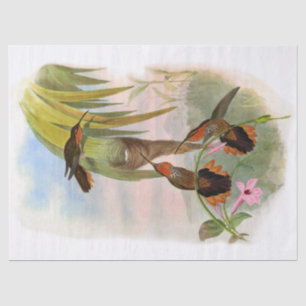 Papel De Seda Vintage Orange Saw Bill Hummingbird Decoupage
