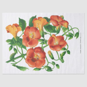 Papel De Seda Vintage Orange Yellow Flower Decoupage