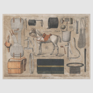 Papel De Seda Vintage Paris Horse Tissue ou Decoupage Paper