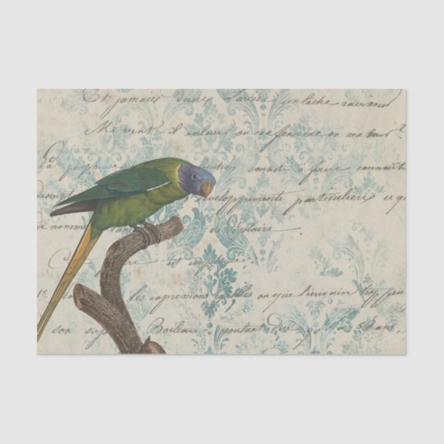 Papel De Seda Vintage Parrot (Frente )