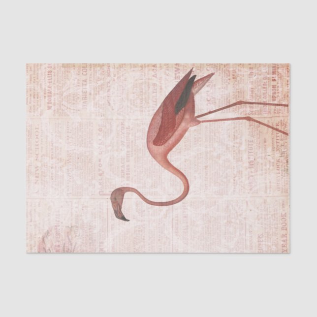 Papel De Seda Vintage Pink Flamingo (Frente )