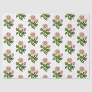 Papel De Seda Vintage Pink Tea Roses Flowers