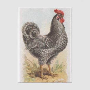 Papel De Seda Vintage Plymouth Rock Chicken Decoupage