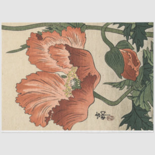 Papel De Seda Vintage Poppy Flower