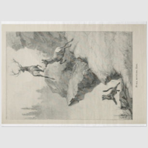 Papel De Seda Vintage Puma Caçando a Desmontagem de Elk Ephemera