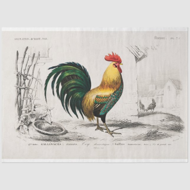Papel De Seda Vintage Rustic Chicken Decoupage (Frente )
