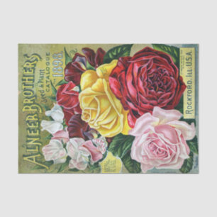 Papel De Seda Vintage Seed Catalog Alneer Brothers, Rosas, 1898