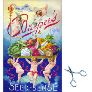 Papel De Seda Vintage Seed Catalog Burpee Seed Sense & Babies!