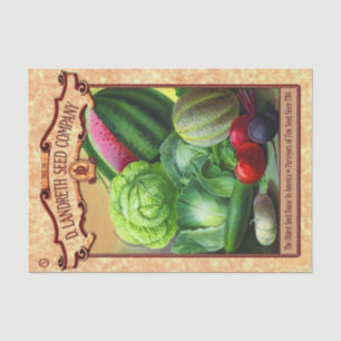 Papel De Seda Vintage Seed Catalog D. Landreth Vegetables Frutas
