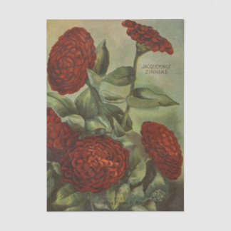 Papel De Seda Vintage Seed Catalog, Emma White, Red Zinnias