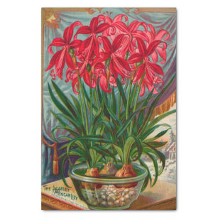 Papel De Seda Vintage Seed Catalog The Scarlet mexicano Lily