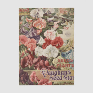 Papel De Seda Vintage Seed Catalog, Vaughan's Store, 1908