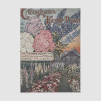 Papel De Seda Vintage Seed Store, Vaughan's Hardy Plants Flowers